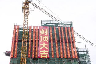 匠心筑夢 榮耀封頂——宏晟學林世家建設工程圓滿封頂